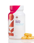 KAO NUTRITION MOBILITY (SOPORTE ARTICULACIONES)