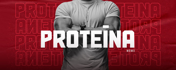 PROTEÍNA