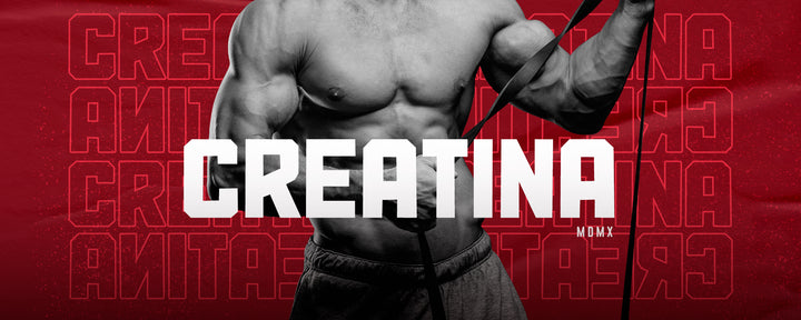 Creatina