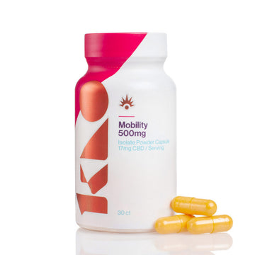 KAO NUTRITION MOBILITY  (SOPORTE ARTICULACIONES)